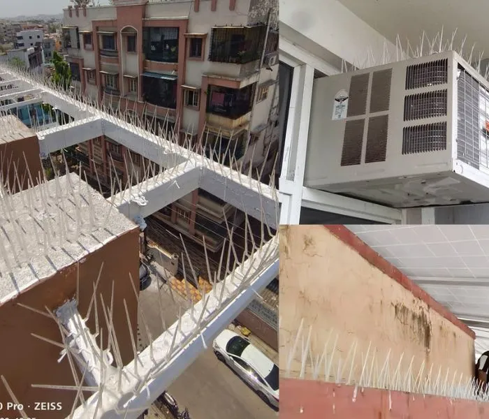 Bird spikes for anti bird protection in hyderabad