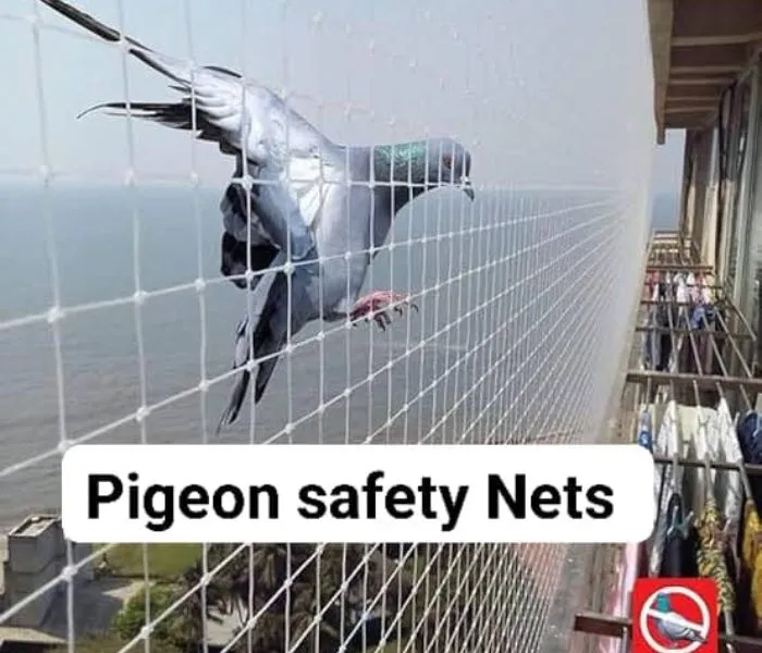 balcony with pigeon safety nets in hyderabad