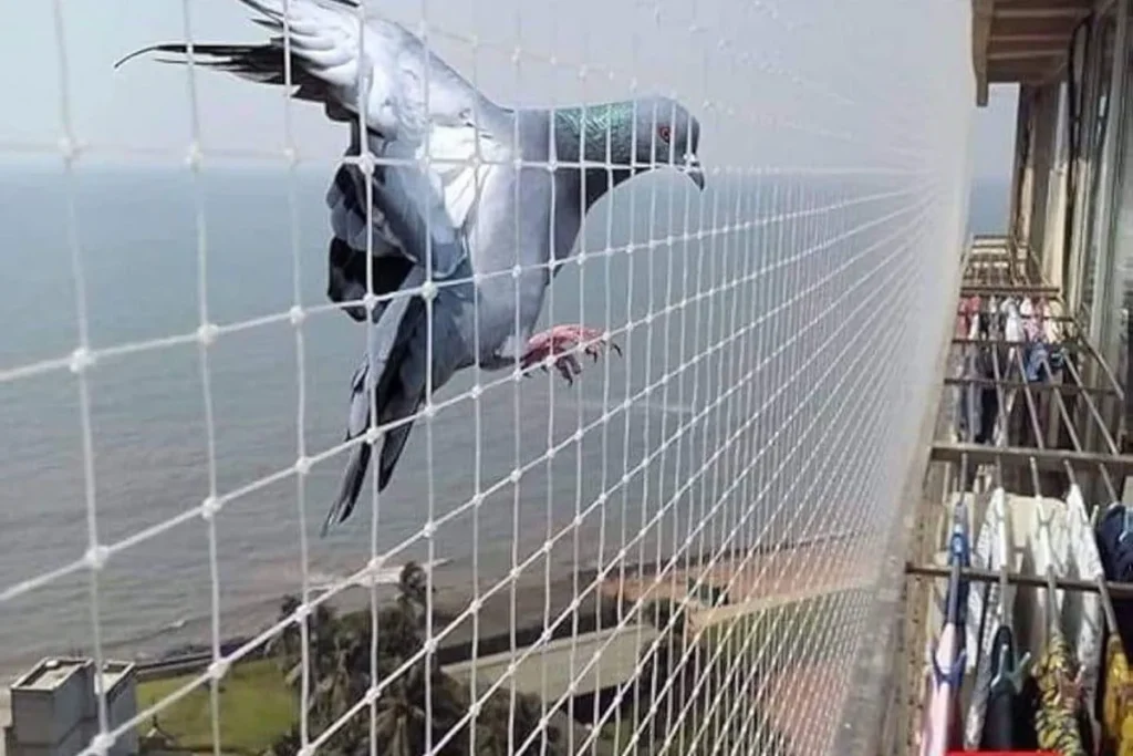 Invisible Grills & Balcony Safety Nets in Hadapsar,Pune|SafeBalconies | Invisible Grills & Balcony Safety Nets